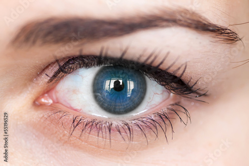 Human blue eye with reflection. Macro shot.