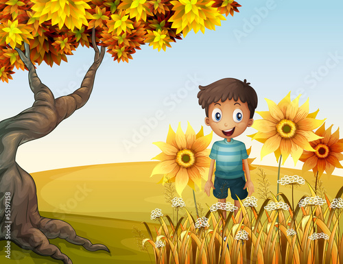 A happy boy near the sunflowers