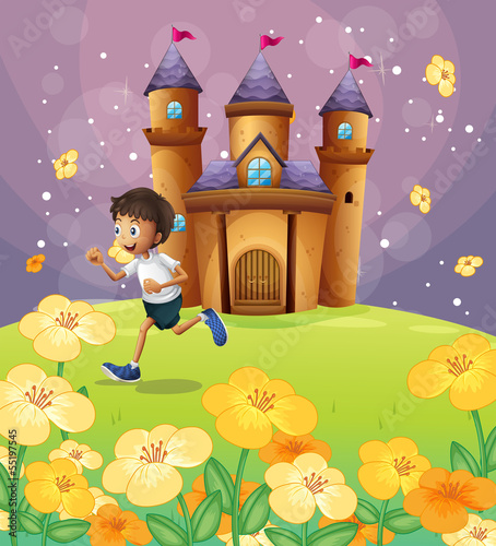 A boy playing in front of the castle