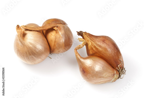 Bulbs of Golden Shallots