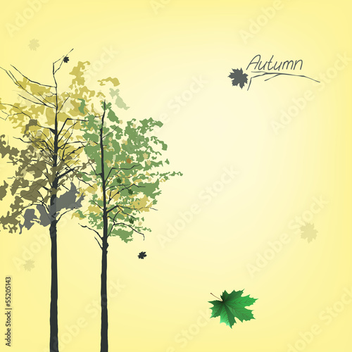 Autumn_Trees