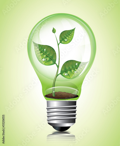 Plant in Light Bulb