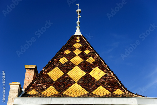 Burgundian tile - roof of the palace  region Beaujolais  France