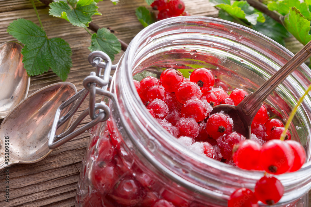 sugared red currant sugared red currant