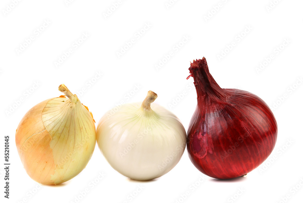 Obraz premium Three different kinds of onions