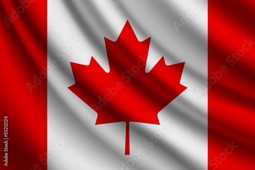 Waving flag of Canada, vector