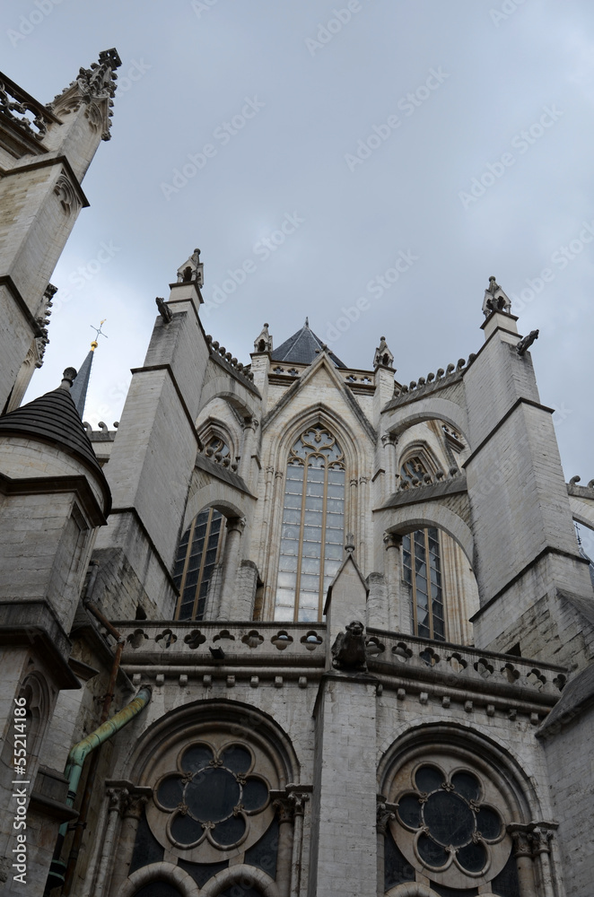 Fototapeta premium Cathédrale Saints-Michel-et-Gudule