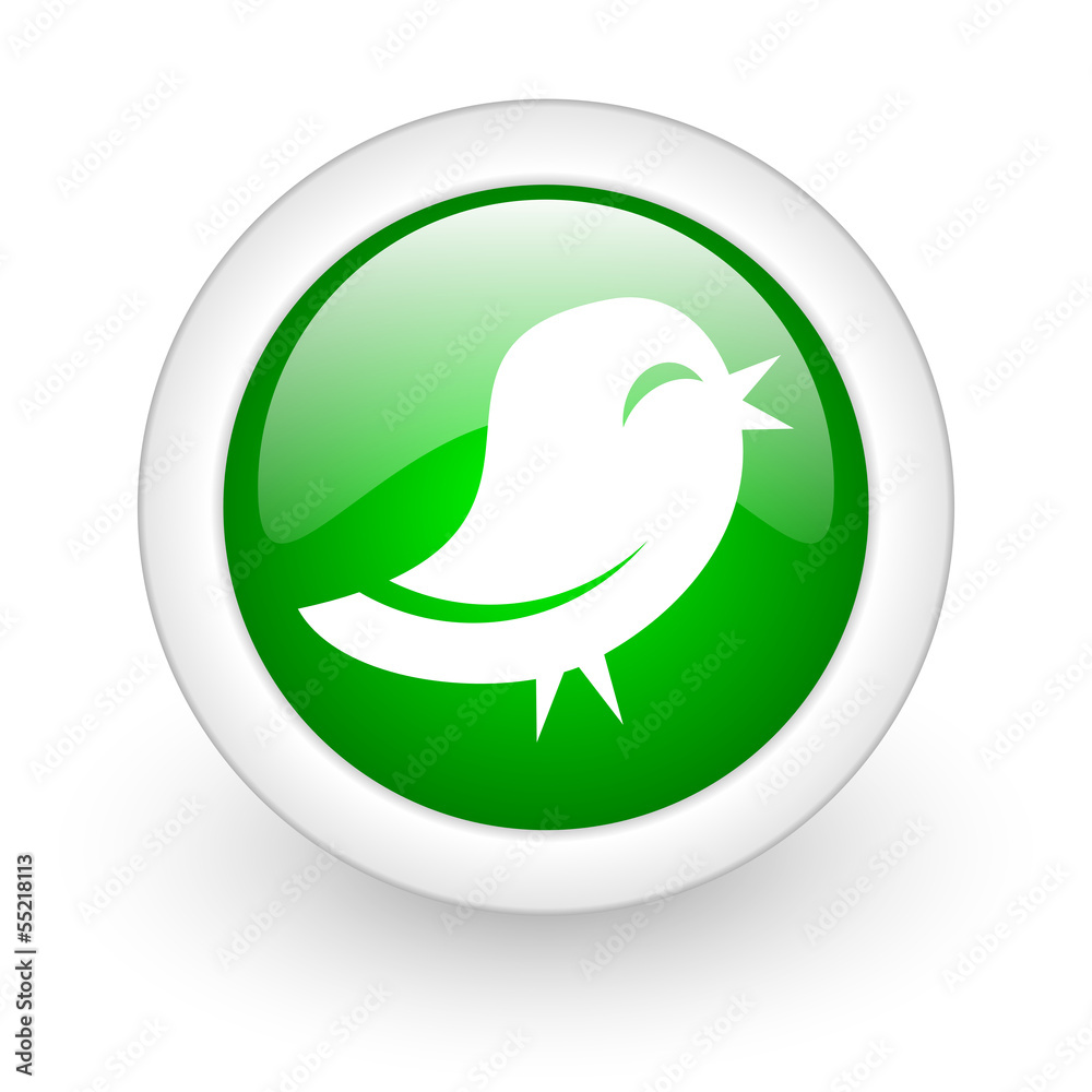 twitter icon twitter icon