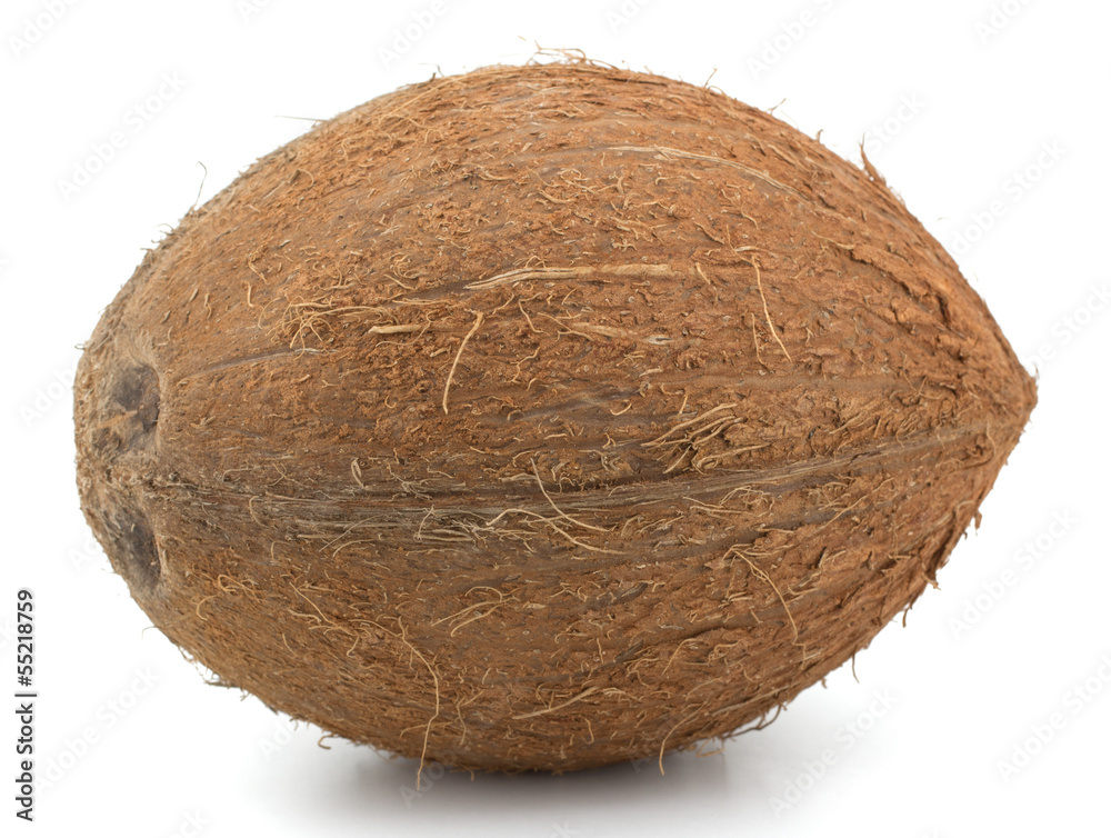 Coconuts isolated on white background Coconuts isolated on white background