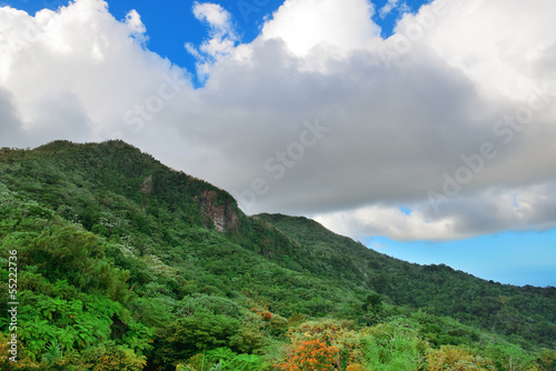 Tropical rain forest in San Juan