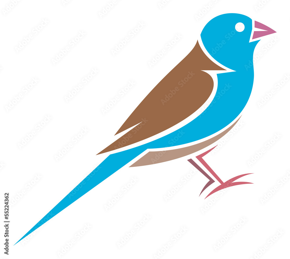 Blue-capped Cordon-bleu