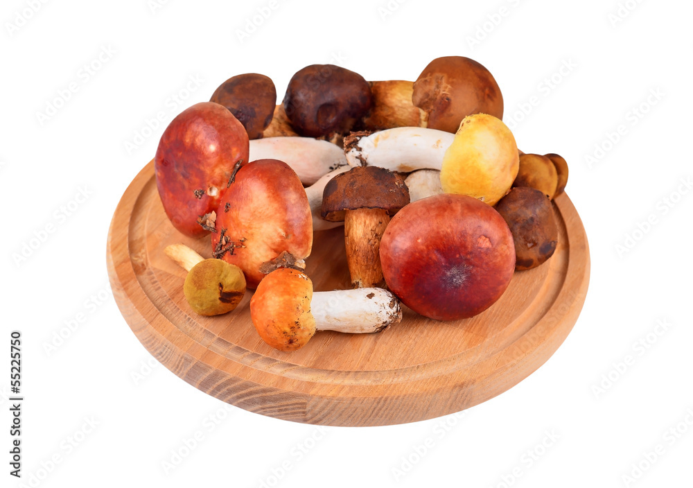 Obraz premium Boletus edulis mushroom on wooden board, isolated on white