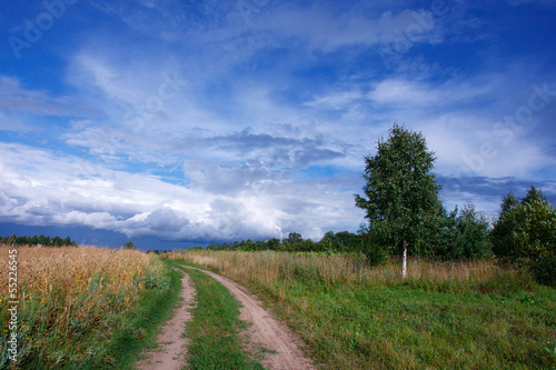 Summer landscape with a field of wheat and a road