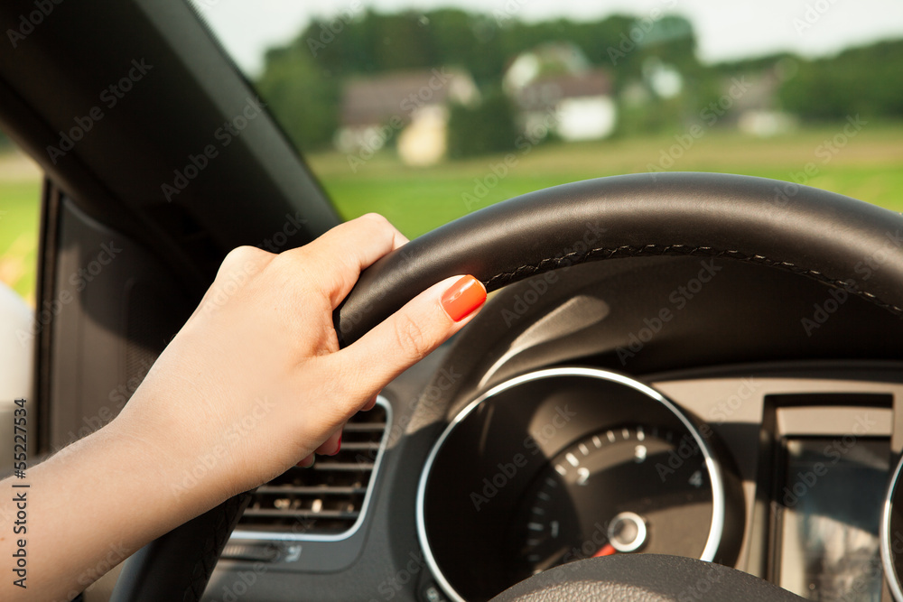 Young Woman In Car