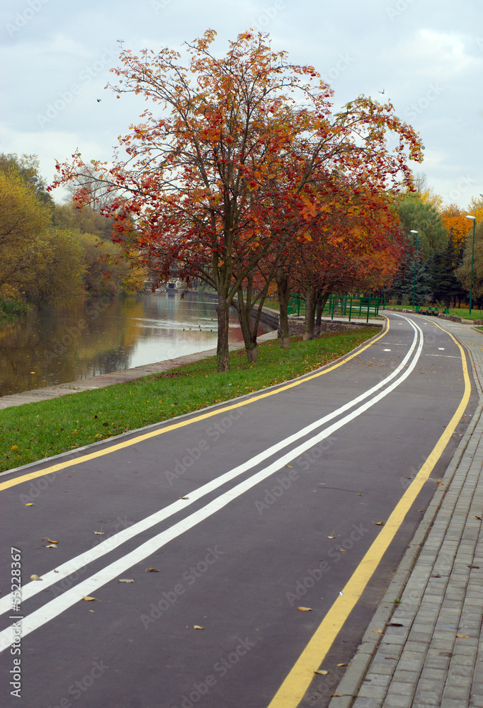 Fototapeta premium Autumn cityscape with rowan and bicycle path