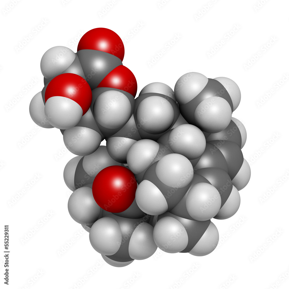 Simvastatin cholesterol lowering drug (statin class) Simvastatin cholesterol lowering drug (statin class)