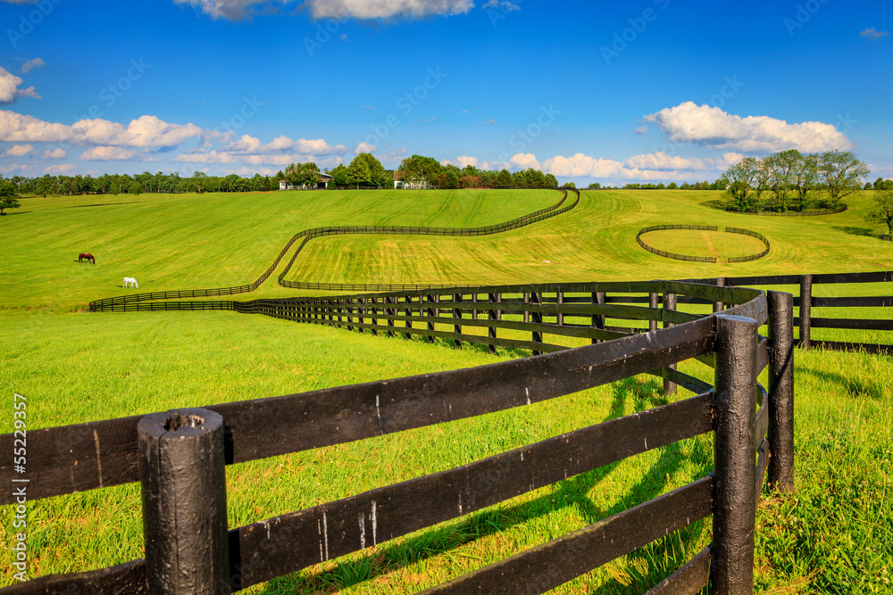 Horse farm fences