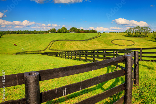 Fotografie, Obraz Horse farm fences