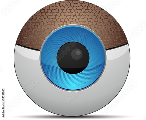Web Cam button
