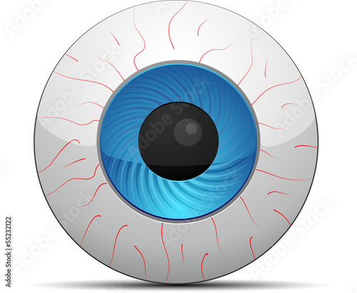 Web Cam button
