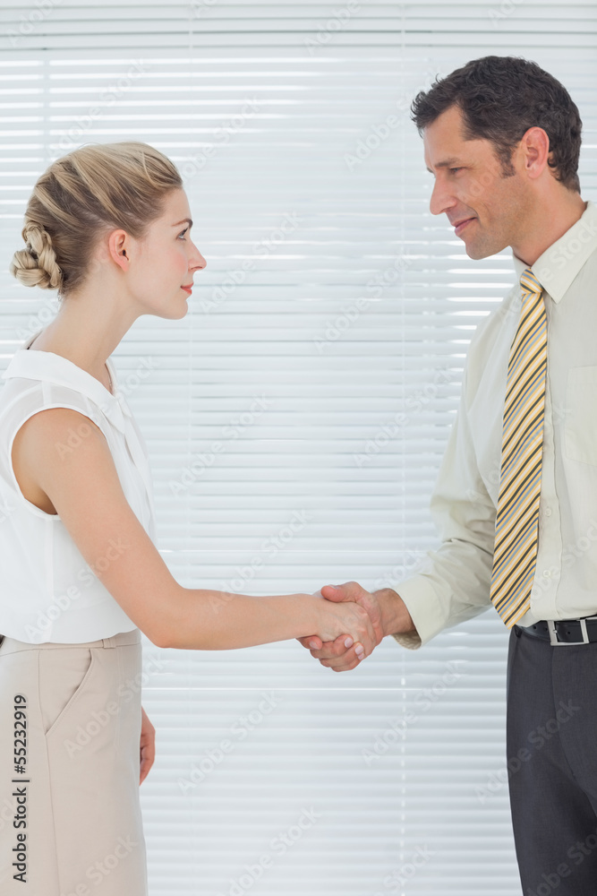 Businessman shaking hands with his attractive colleague Businessman shaking hands with his attractive colleague