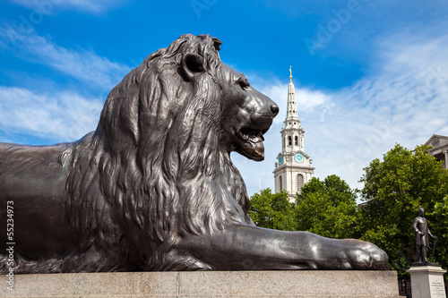 Lion on Trafalgar Square