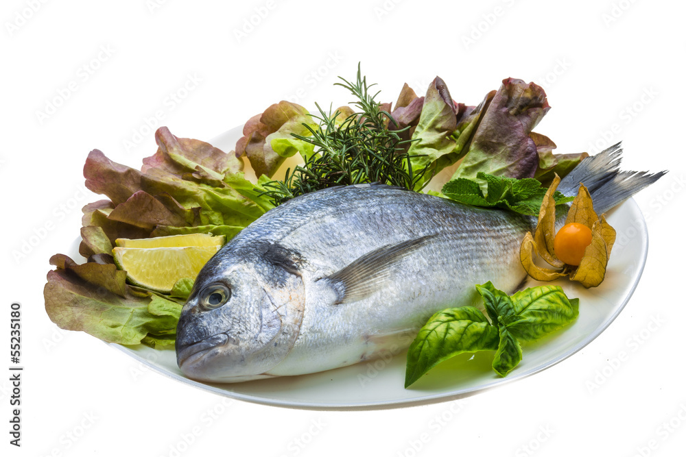 Fresh raw dorada Fresh raw dorada