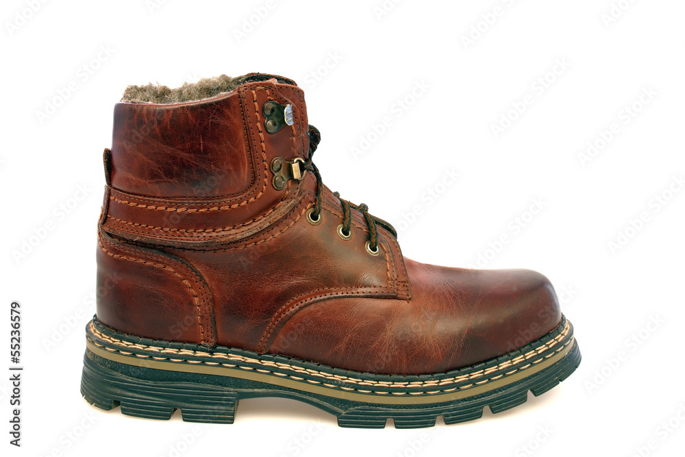 Shoe Shoe