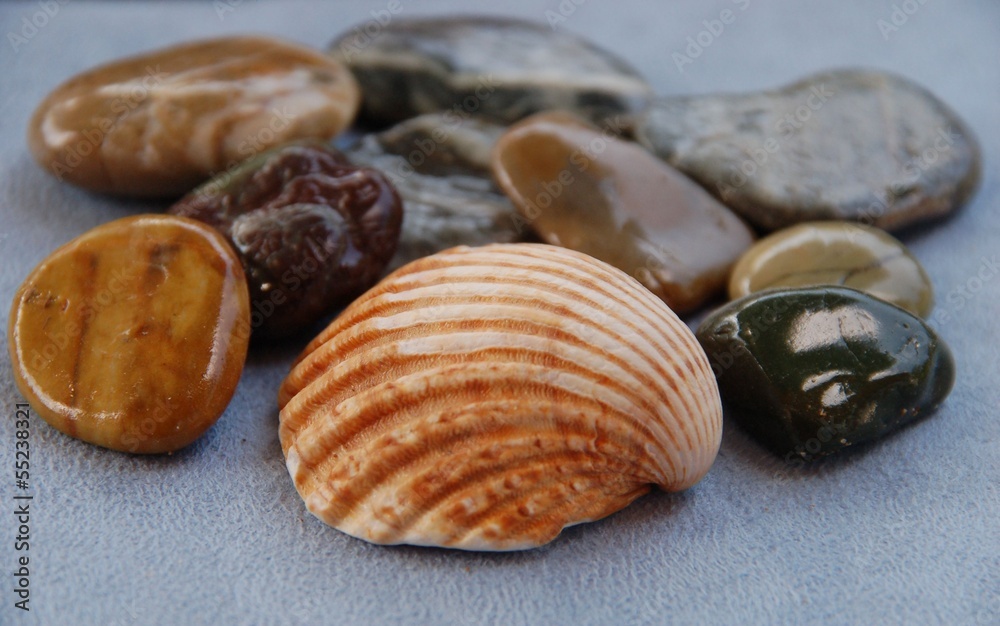 Muscheln und Steine - Erinnerungen ans Meer