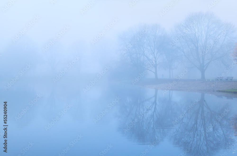 custom made wallpaper toronto digitaltree reflected in lake and fog