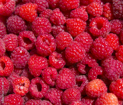 Fresh picked raspberries