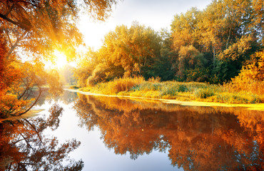 Wandcirkels Herfst Rivier door sfeervol herfstwoud  © Givaga