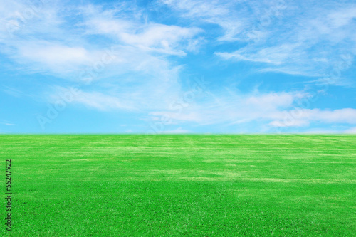 green grass field with sky