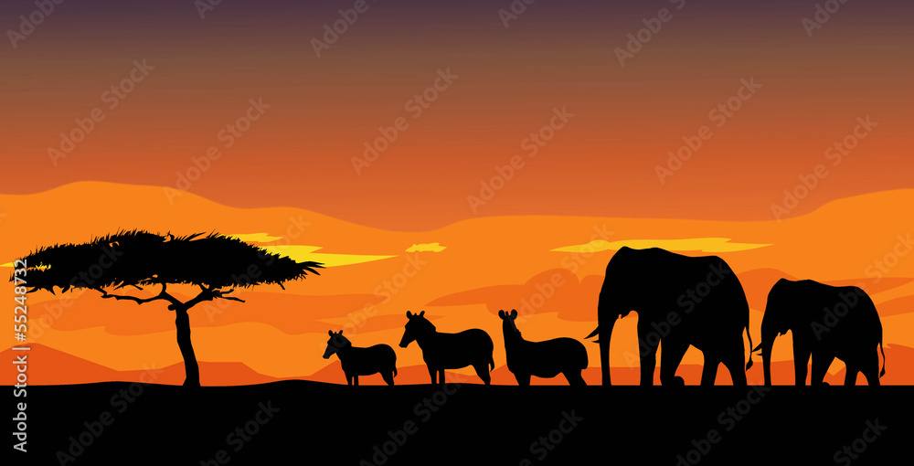 African safari & Sunset