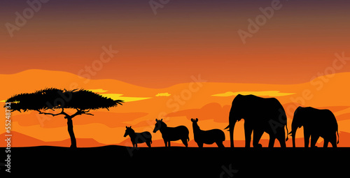 African safari & Sunset © samkar