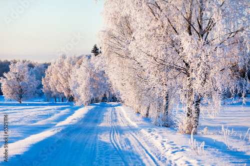 Small country road in winter