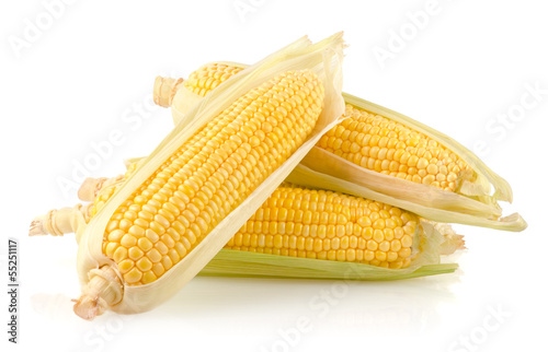 Fresh Corn on the Cob Isolated on White Background