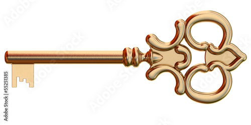 Golden key isolated