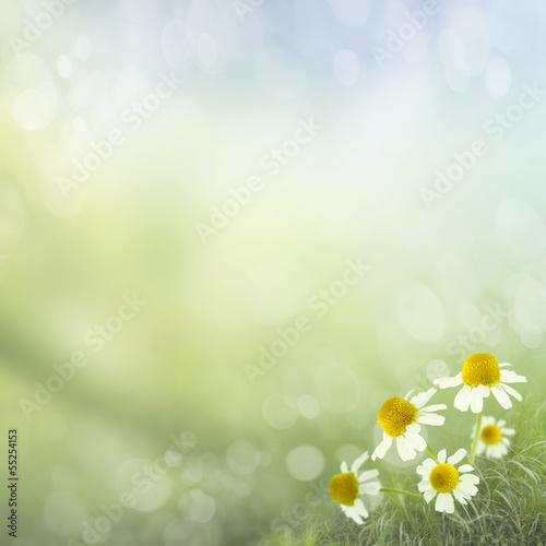 spring background