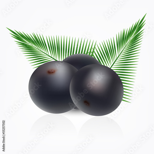 Amazon acai fruit with palm leaves isolated on white background.