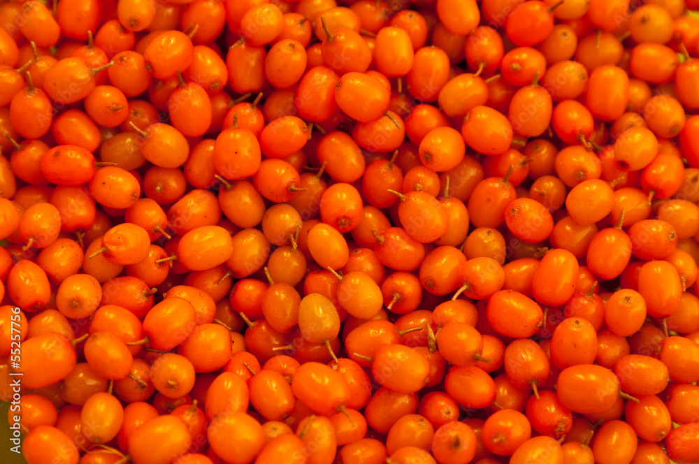 sea-buckthorn berries background