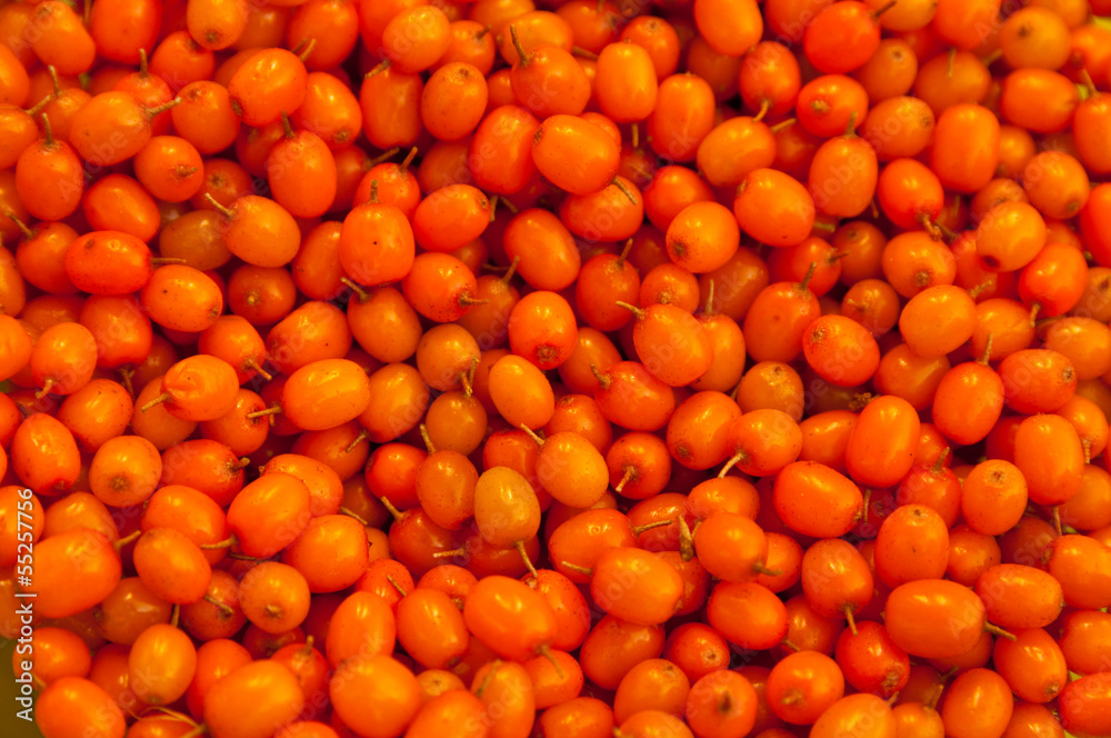 sea-buckthorn berries background sea-buckthorn berries background