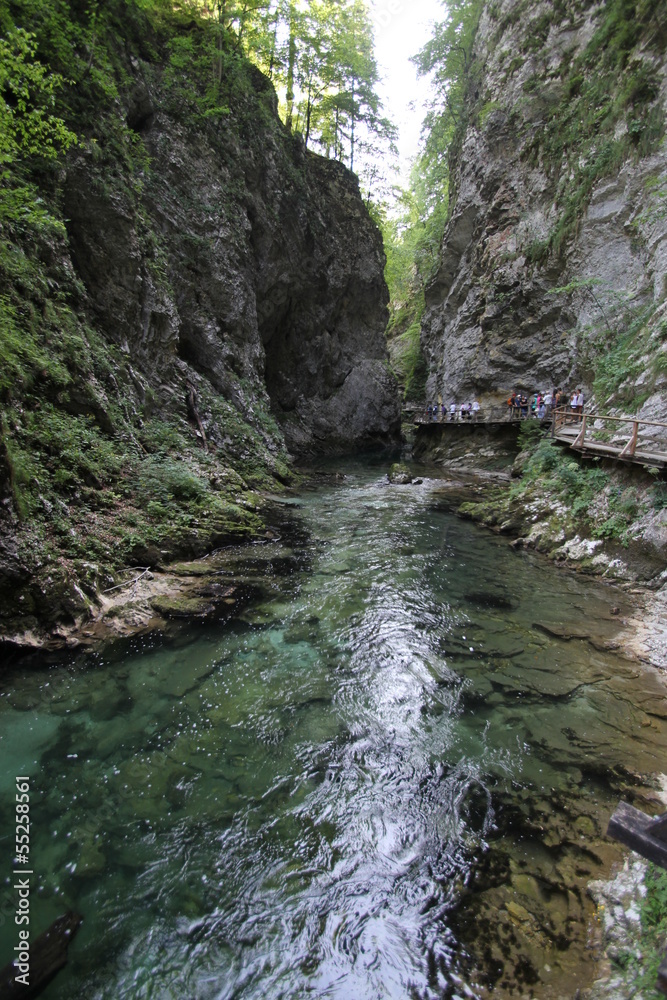 gorges de Vintgar, Slovénie