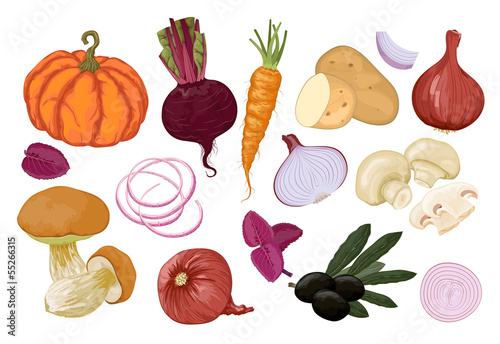 Hand drawn vegetables. Orange and vinous. Vector.