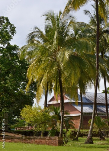 GUYANE : Vestiges du bagne des îles du Salut © NANCY