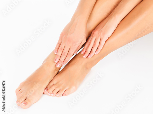 Female legs and hands, white background