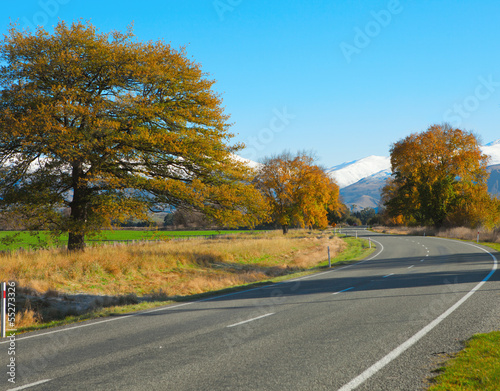 Autumn road, Canterbury, NZ