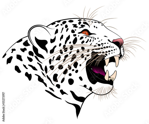 Vector leopard executed in the form of a tribal tattoo