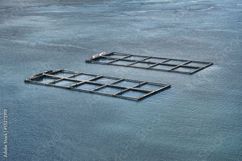 Salmon farming