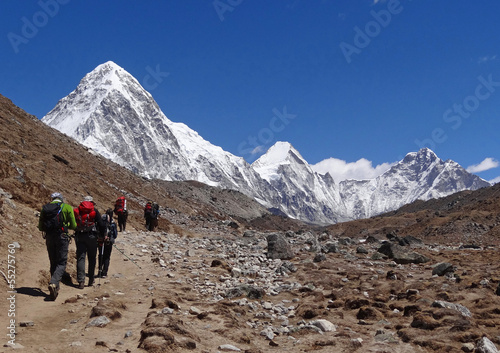 Trekking dans l'Himalaya, Pumori (7161 m) - Népal